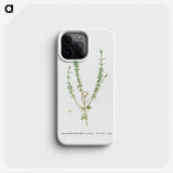 2-33_Histoire-des-Plantes-Grasses_phone