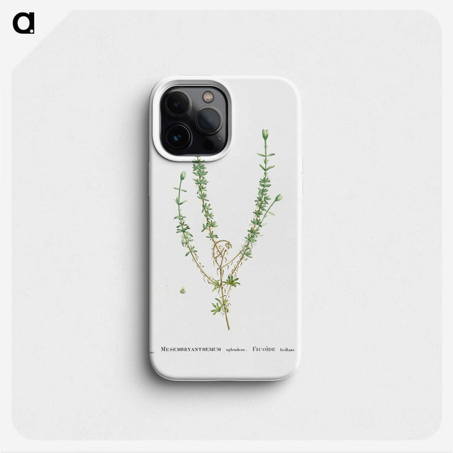 2-33_Histoire-des-Plantes-Grasses_phone