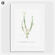 2-33_Histoire-des-Plantes-Grasses_picture
