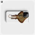 2-33_Ichtyologie-ou-Histoire-naturelle_phone