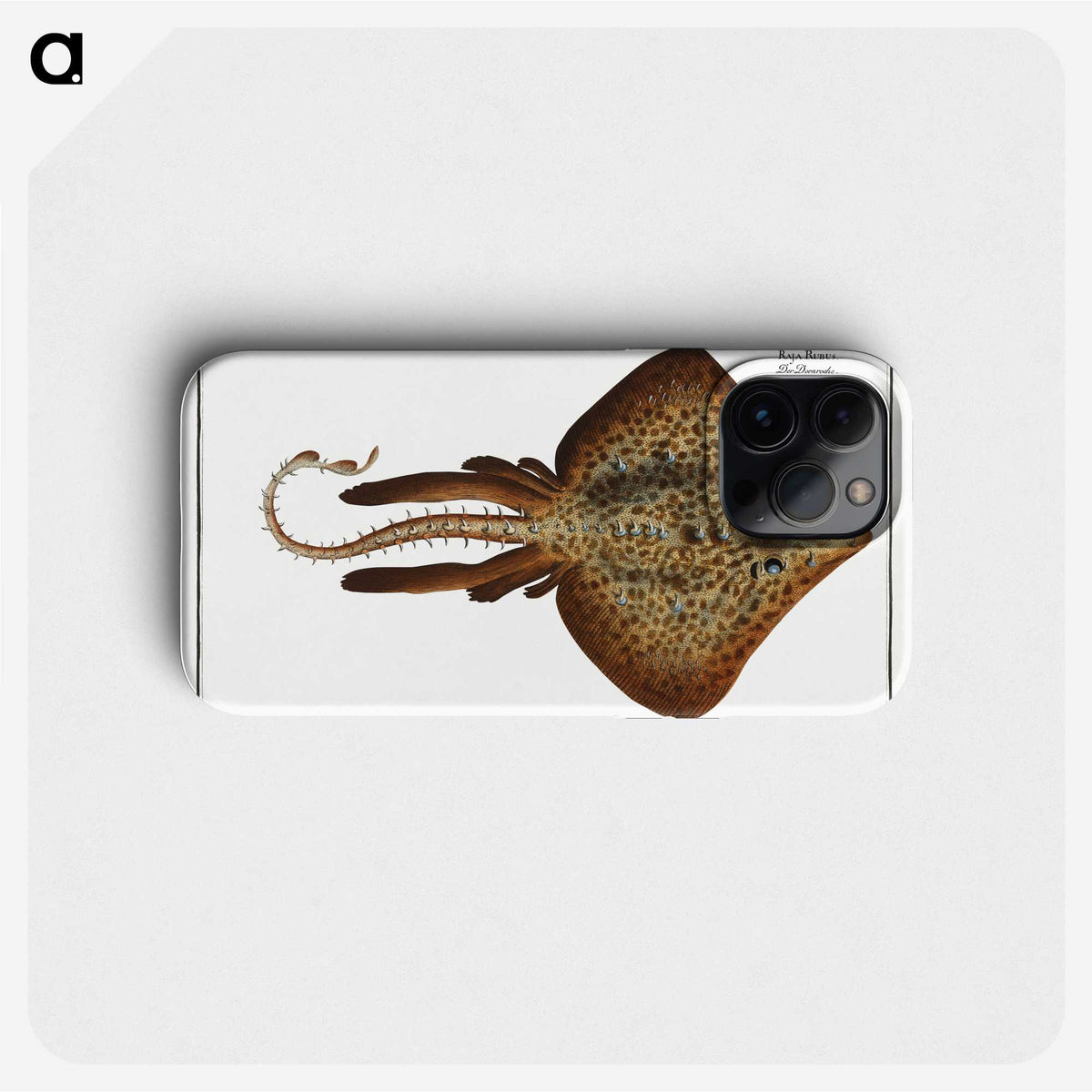 2-33_Ichtyologie-ou-Histoire-naturelle_phone