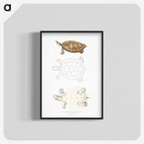 2-33_Indian-Zoology_blk-crop
