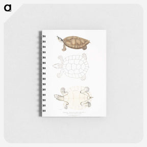 2-33_Indian-Zoology_memo