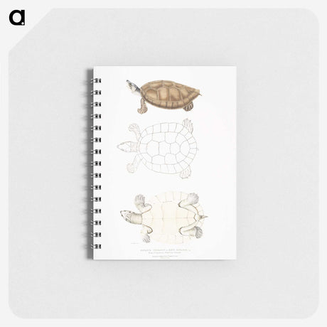 2-33_Indian-Zoology_memo