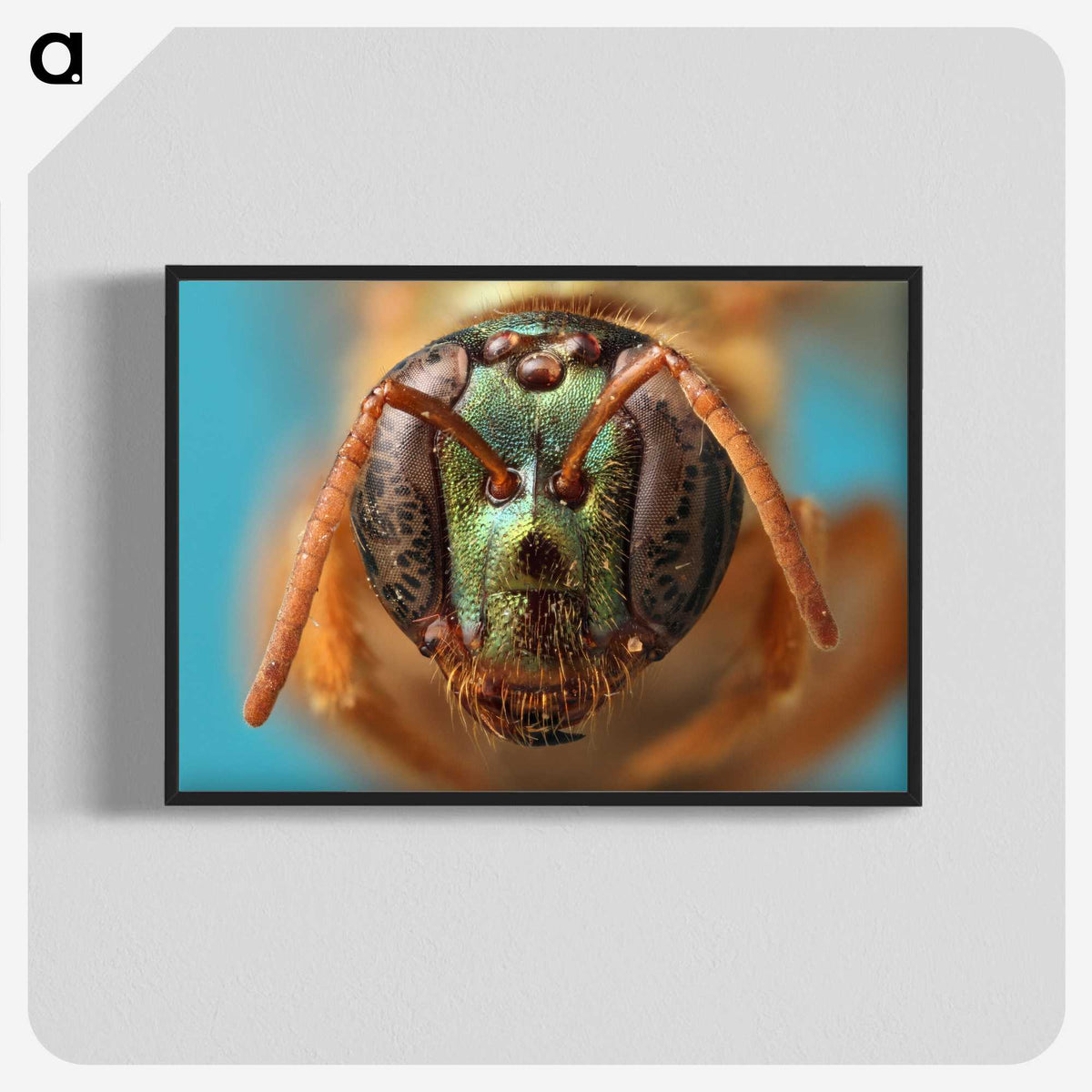 2-33_Insects-Unlocked-Project_blk-crop
