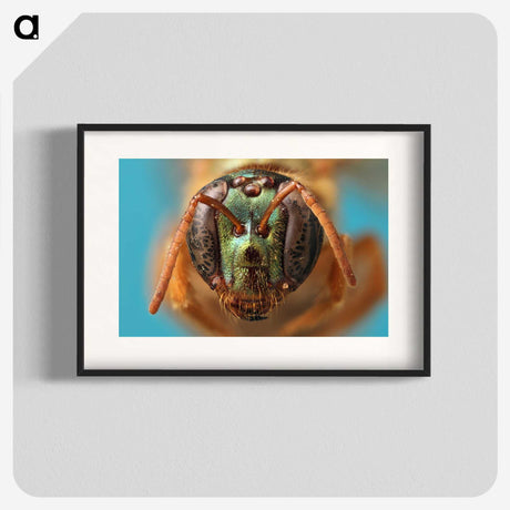 2-33_Insects-Unlocked-Project_blk