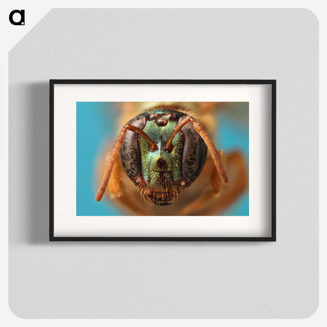 2-33_Insects-Unlocked-Project_blk