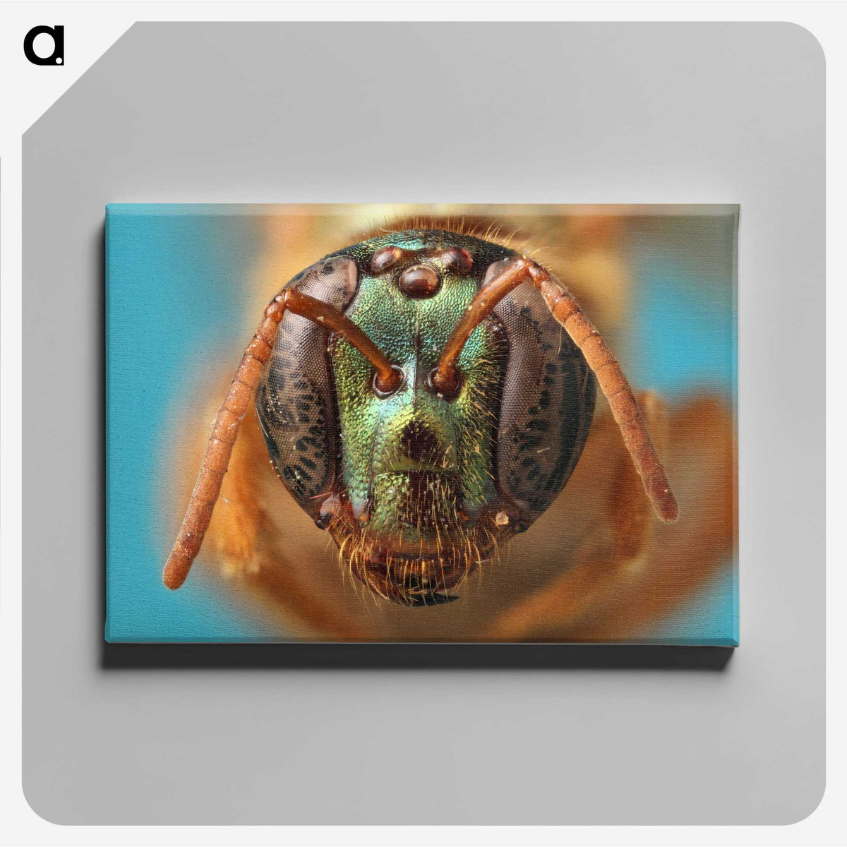 2-33_Insects-Unlocked-Project_canvas