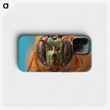 2-33_Insects-Unlocked-Project_phone