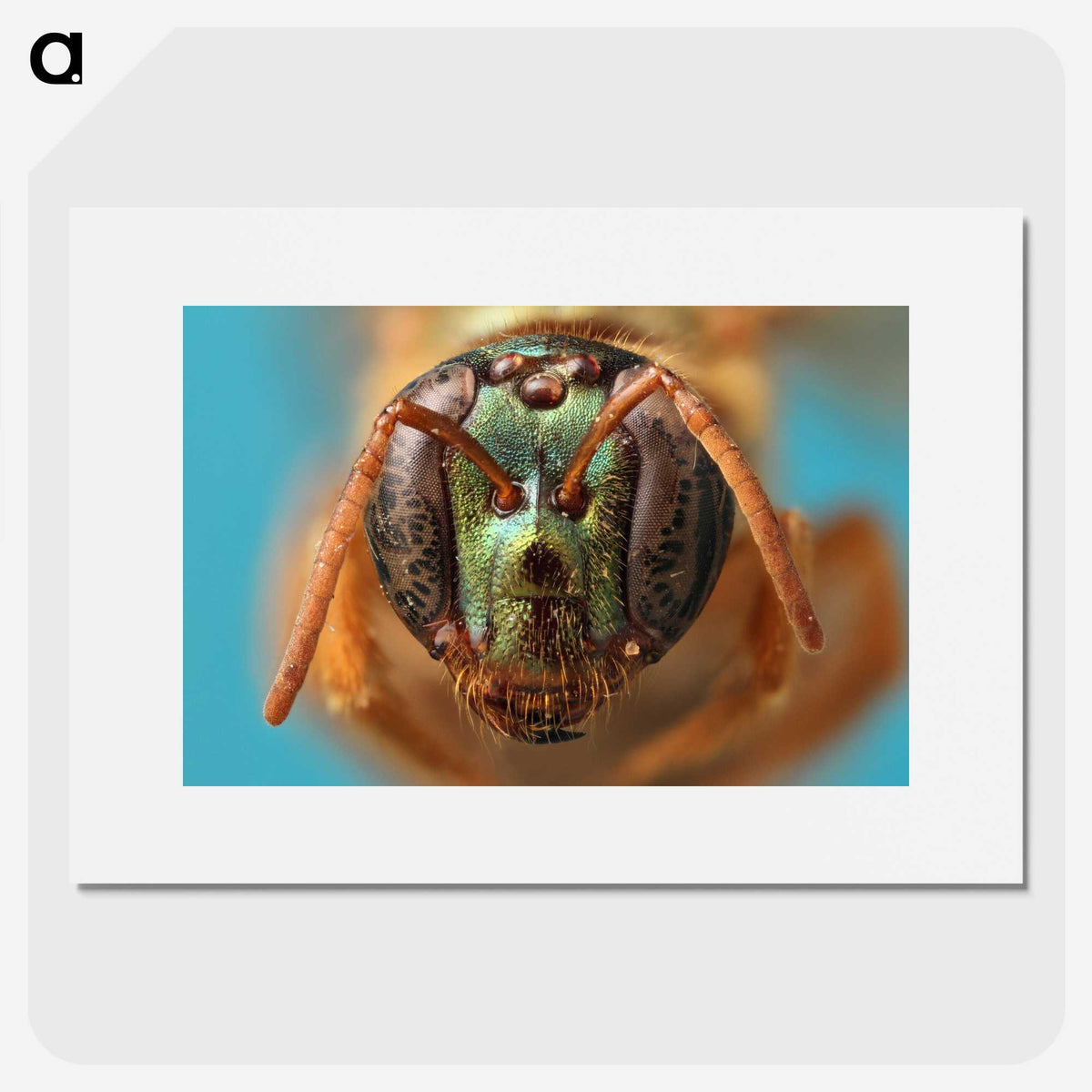 2-33_Insects-Unlocked-Project_picture