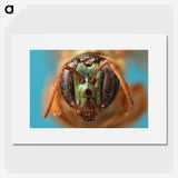 2-33_Insects-Unlocked-Project_picture