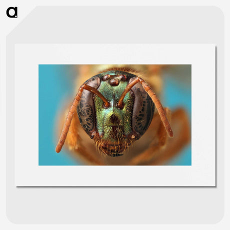 2-33_Insects-Unlocked-Project_picture