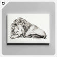アートパネル-Lying lion - ジャン ベルナール Canvas.