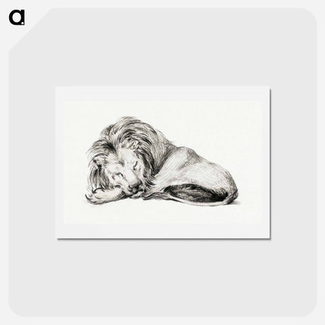 アートポストカード-Lying lion - ジャン ベルナール Postcard.