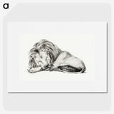2-33_Jean-Bernard_picture
