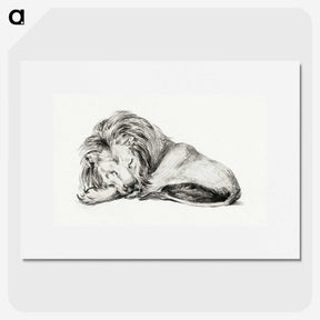 2-33_Jean-Bernard_picture
