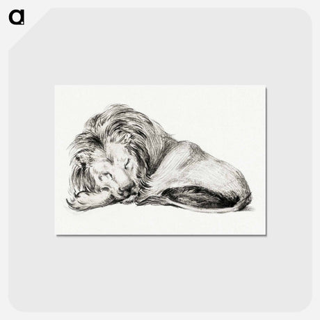 アートポストカード-Lying lion - ジャン ベルナール Postcard.
