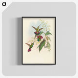 2-33_John-Gould_blk-crop