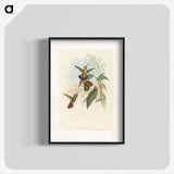 2-33_John-Gould_blk