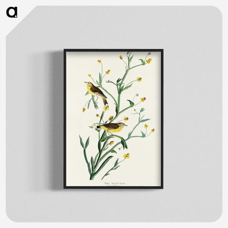 2-33_John-James-Audubon_blk-crop