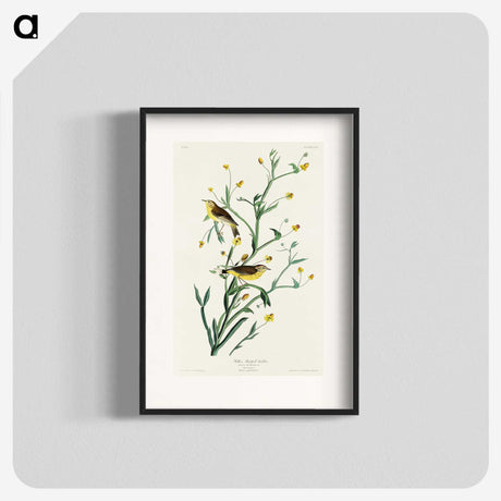 2-33_John-James-Audubon_blk