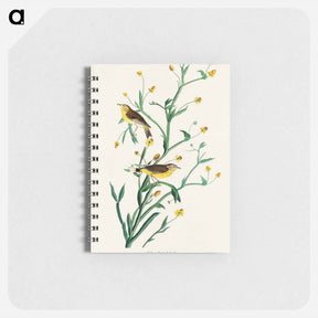 アートメモ帳-Yellow Red-poll Warbler
 - ジョン ジェームス オーデュボン Memo.
