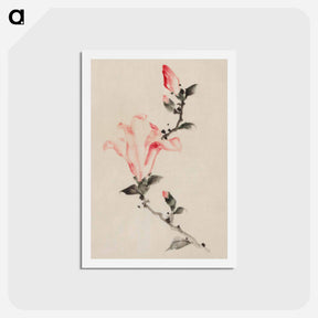 アートポストカード-Large Pink Blossom on a Stem with Three Additional Buds - 葛飾 北斎 Postcard.