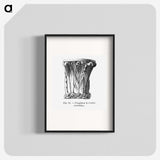 2-33_Les-Palmiers-Histoire-Iconographique_blk