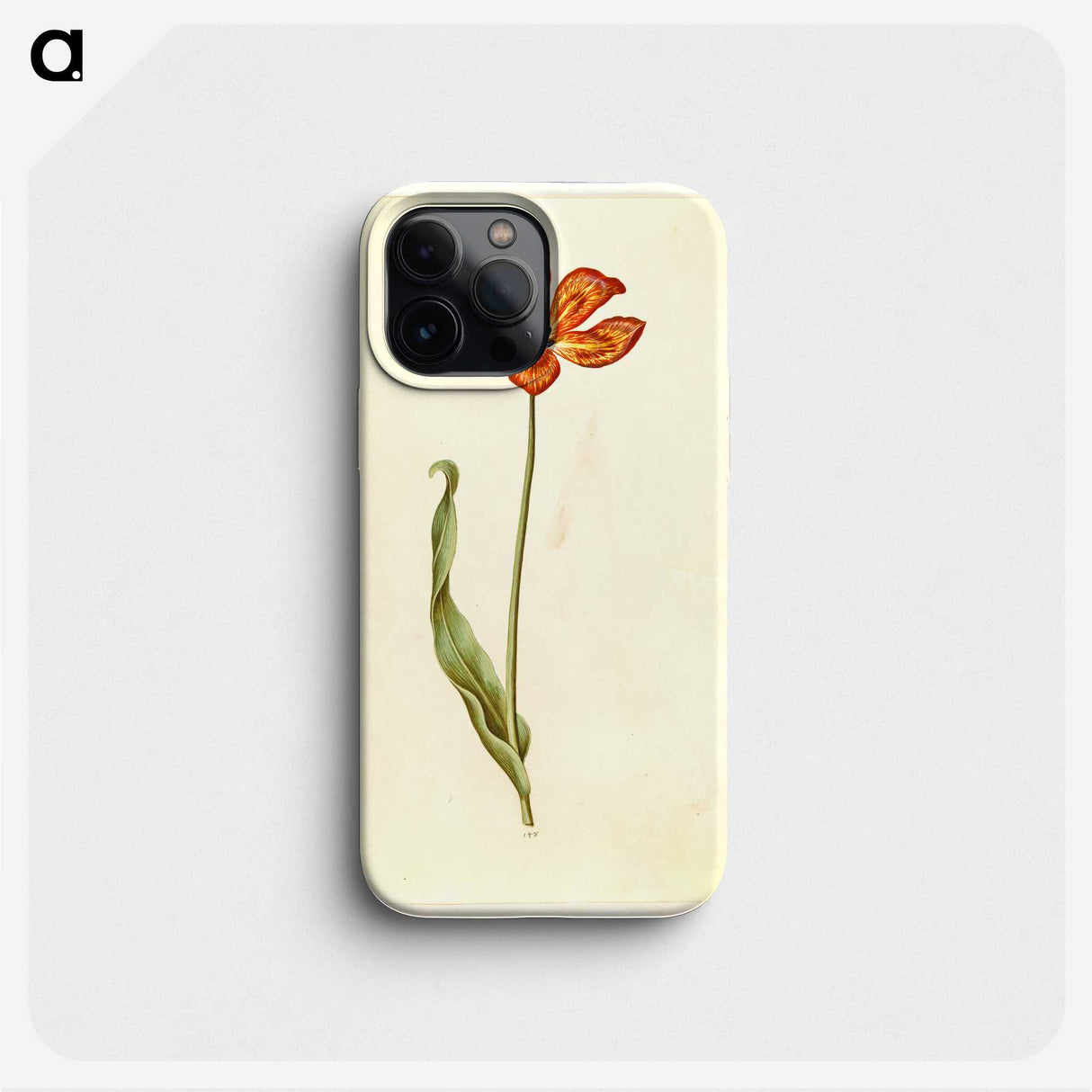 2-33_Maria-Sibylla-Merian_phone