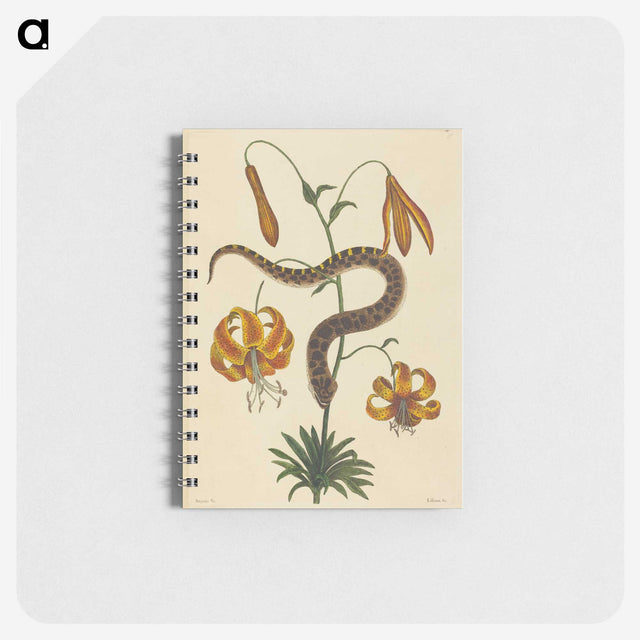 2-33_Mark-Catesby_memo