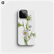 2-33_Mary-Vaux-Walcott_phone