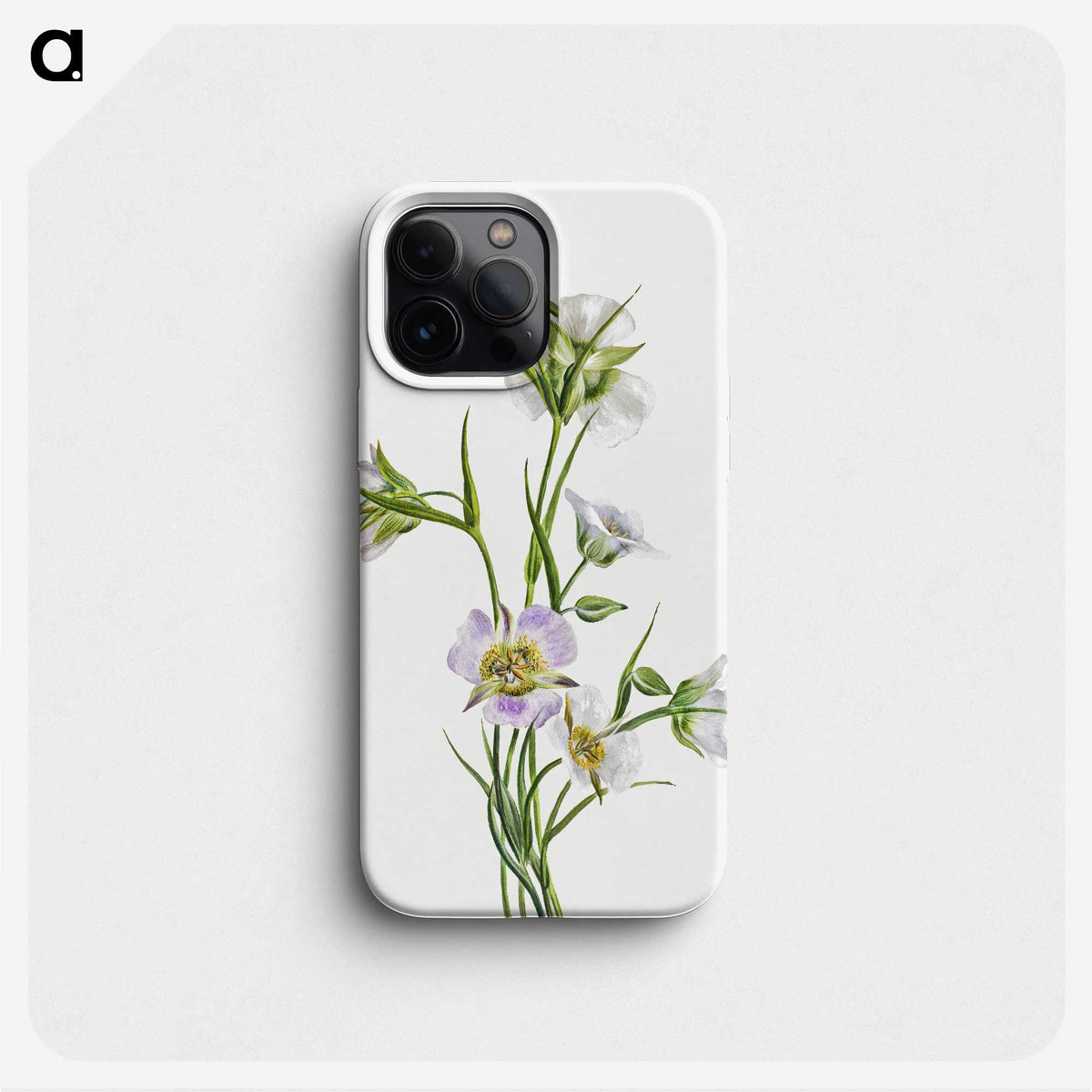 2-33_Mary-Vaux-Walcott_phone
