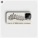 2-33_Moths-and-Butterflies-of-the-United-States_phone