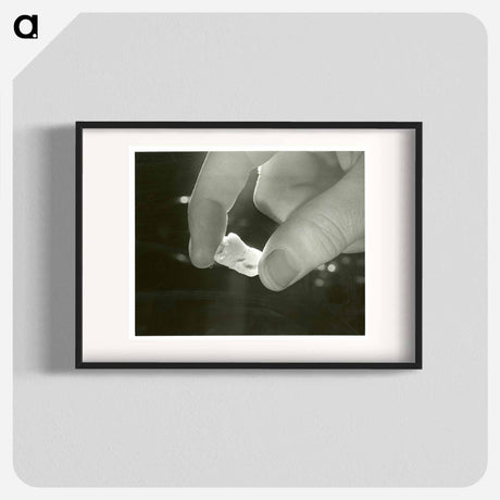 アートポスター-Electron Microscopic Dental Study
 - 国立医学図書館 Poster.