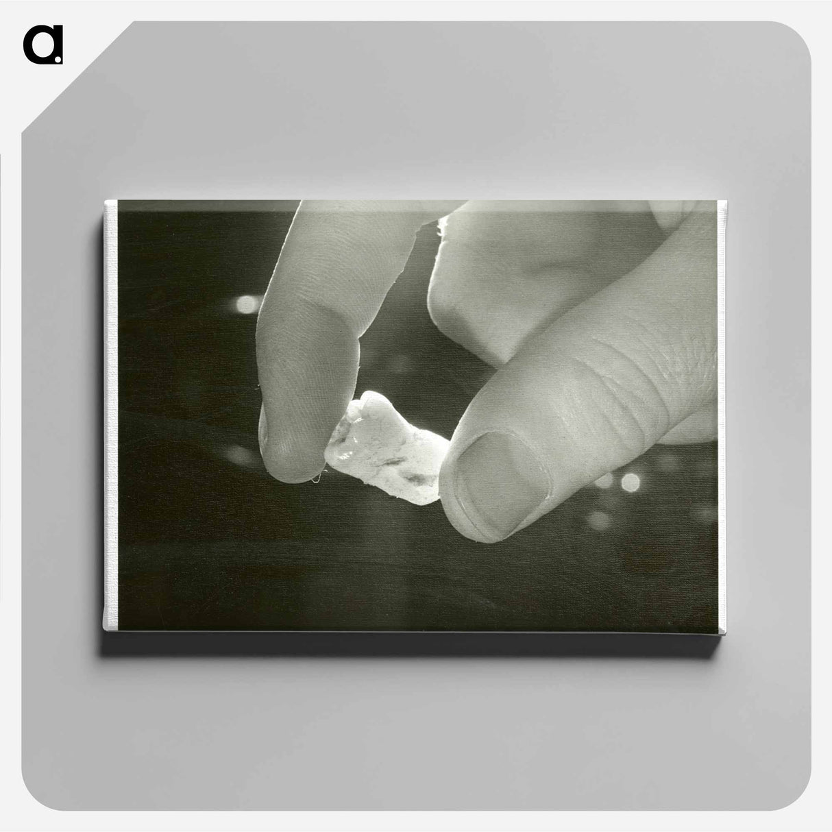 アートパネル-Electron Microscopic Dental Study
 - 国立医学図書館 Canvas.