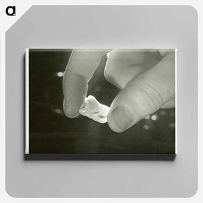 アートパネル-Electron Microscopic Dental Study
 - 国立医学図書館 Canvas.