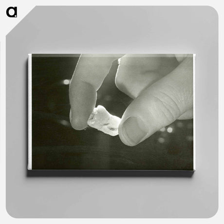 アートパネル-Electron Microscopic Dental Study
 - 国立医学図書館 Canvas.