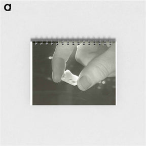 アートメモ帳-Electron Microscopic Dental Study
 - 国立医学図書館 Memo.
