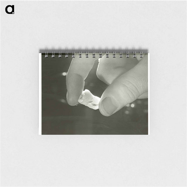 アートメモ帳-Electron Microscopic Dental Study
 - 国立医学図書館 Memo.