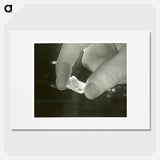 アートポスター-Electron Microscopic Dental Study
 - 国立医学図書館 Poster.