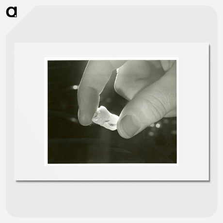 アートポスター-Electron Microscopic Dental Study
 - 国立医学図書館 Poster.