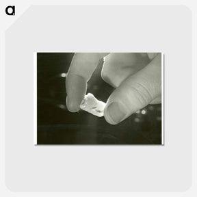 アートポストカード-Electron Microscopic Dental Study
 - 国立医学図書館 Postcard.