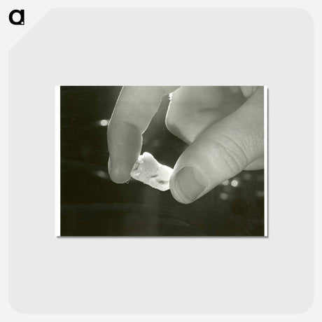 アートポストカード-Electron Microscopic Dental Study
 - 国立医学図書館 Postcard.