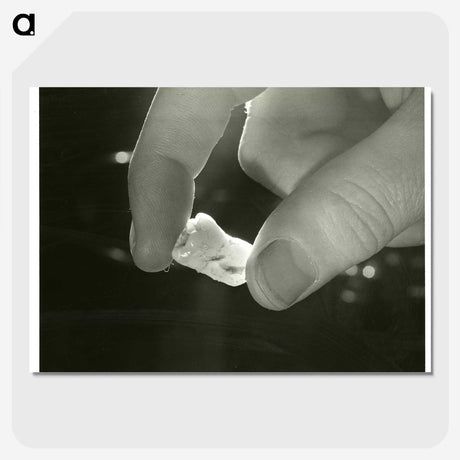 2-33_National-Library-of-Medicine_picture-crop