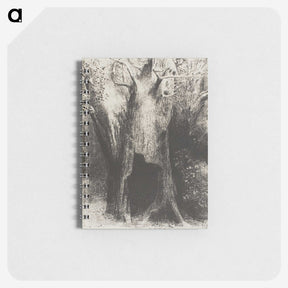 2-33_Odilon-Redon_memo