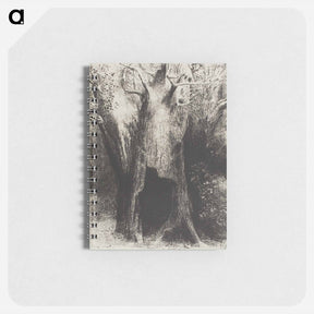アートメモ帳-I Plunged into Solitude. I Dwelt in the Tree behind Me - オディロン ルドン Memo.