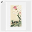 2-33_Ohara-Koson_picture