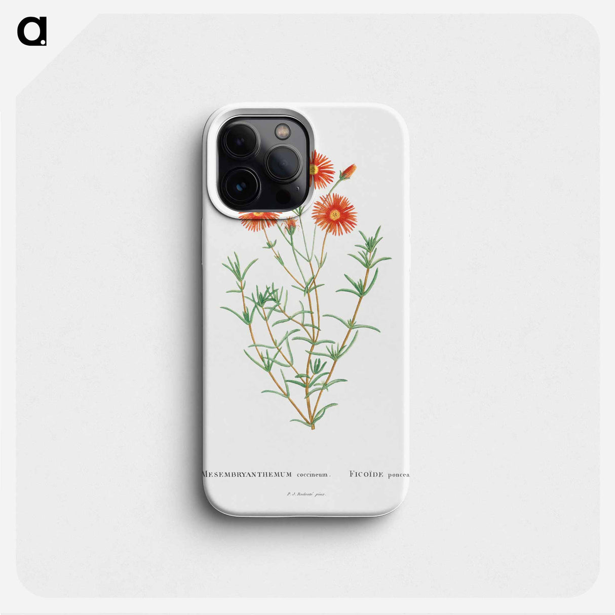 Mesembryanthemum Coccineum - Pierre Joseph Redouté Phone Case.