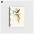 アートメモ帳-Orange-bellied Grass-Parakeet
 - オーストラリアの鳥 Memo.