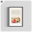 アートポスター-Common Apple, European Wild Pansy, and Giant Filbert
 - 書道のお手本 Poster.